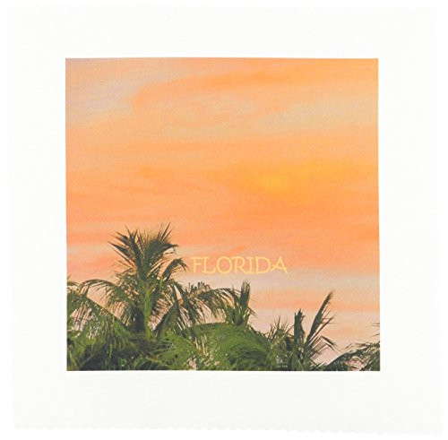 3dRose LLC Key West Sunset 10 by 10-Inch Quilt, Square
