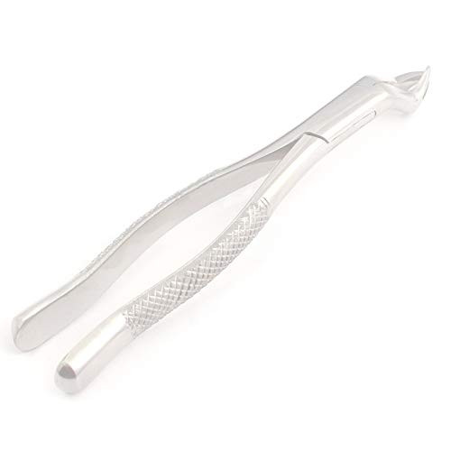 1 Premium O.R Grade Dental Extraction EXTRACTING Forceps 88R Instruments for Right Upper MOLARS -DDP Quality-