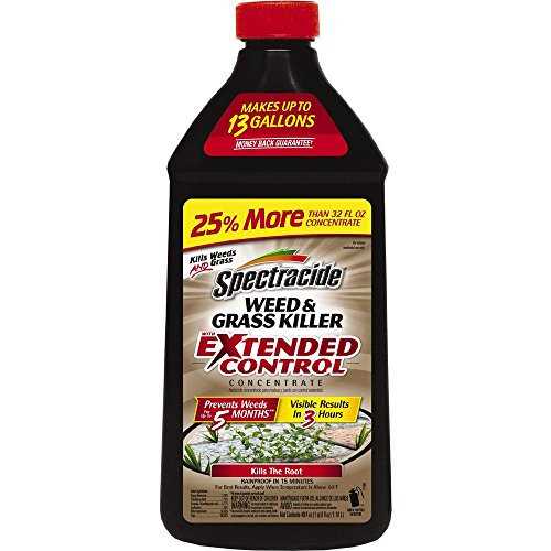 Spectracide Weed & Grass Killer With Extended Control Concentrate, 40-Ounce