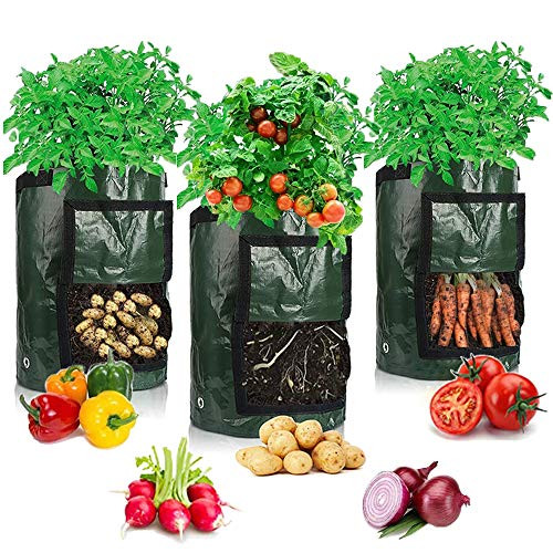 Potato Grow Bags Afomida 3 Pack 7 Gallon Plant Growing Bags Reusable Garden Vegetable Planter for Tomato Carrot Onion Fruits Growing Containers Ventilated Planting Pots with Handles Potato Grow Bags Afomida 3 Pack 7 Gallon Plant Growing Bags Reusable Garden Vegetable Planter for Tomato Carrot Onion Fruits Growing Containers Ventilated Planting Pots with Handles