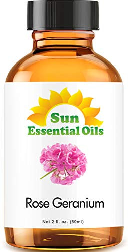 Rose Geranium Essential Oil -Huge 2oz Bottle- Bulk Rose Geranium Oil - 2 Ounce