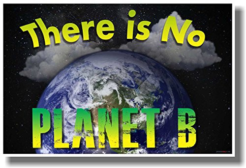 There Is No Planet B -Without Animals- - New Classroom Motivational Poster