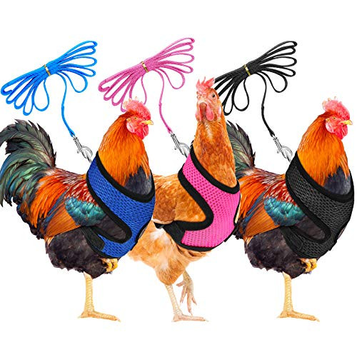 3 Pieces Adjustable Chicken Harness with Leash and Matching Belt Comfortable Hen Pet Vest Breathable Chicken Training Harness for Chicken Duck or Goose -Blue Pink BlackS-