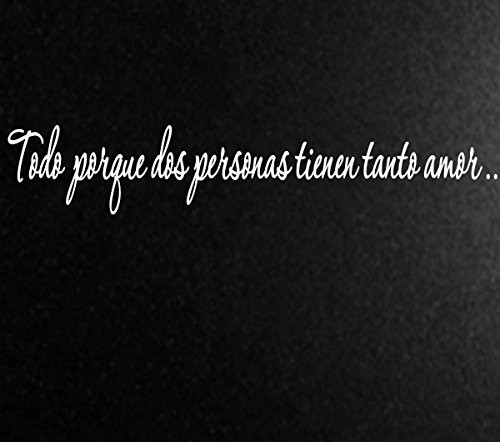 Vinyl Say G.White -55x10-s.0070 Todo Porque Dos Personas Tienen Tanto Amor Spanish Wall Decals 55-Inch x 10-Inch Gloss White