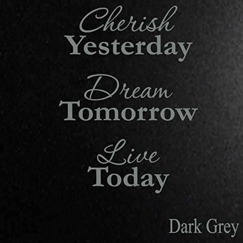 Vinyl Say G.Dark Grey-11x15-1256.cherish Cherish Yesterday Dream Tomorrow Live Today Vinyl Wall Decal 14-Inch x 11-Inch Gloss Dark Grey