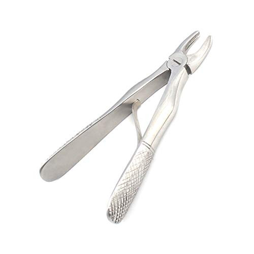 WDL O.R. Grade Dental Tooth EXTRACTING Extraction Forceps Pedo E