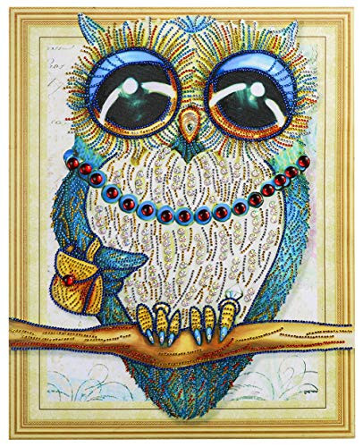 5D Diamond Painting feilin owl Diamond Painting Kit DIY Diamond Rhinestone Painting Kits for Adults and Beginner Embroidery Arts Craft Home Decor B 30x40cm