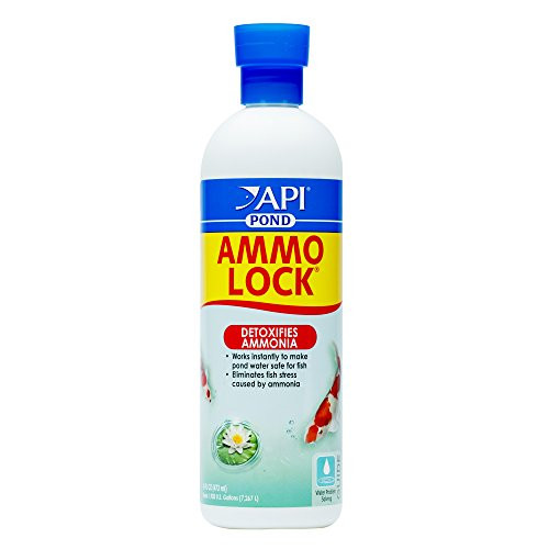 API POND AMMO-LOCK Ammonia detoxifier For Pond Water 16-Ounce Bottle