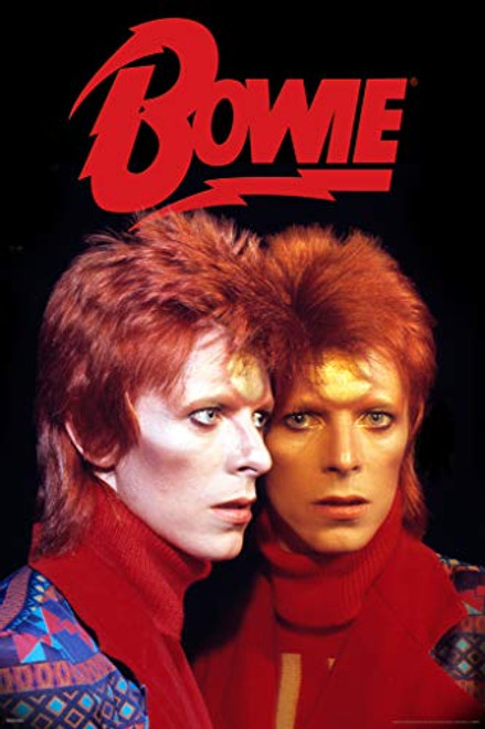 Pyramid America David Bowie Ziggy Stardust Mirror Radio City 1973 Live Concert Tour Music Cool Wall Decor Art Print Poster 12x18 Pyramid America David Bowie Ziggy Stardust Mirror Radio City 1973 Live Concert Tour Music Cool Wall Decor Art Print Poster 12x18