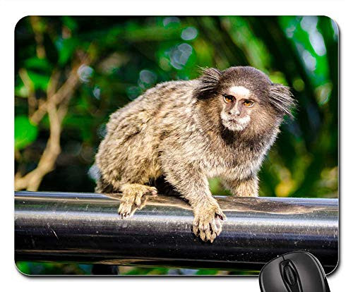 Mouse Pad - Sugar Loaf P o De Ac car Rio De Janeiro Brazil 1