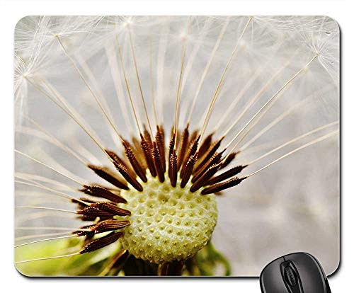 Mouse Pad - Dandelion Plant Nature Flower Close Pointed Flower 17