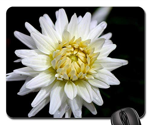 Mouse Pad - Comanche Azores S o Miguel Nature Macro Belvedere 1