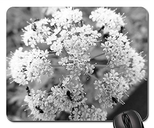 Mouse Pad - Flower Summer B W Photography Detail Ants Insect