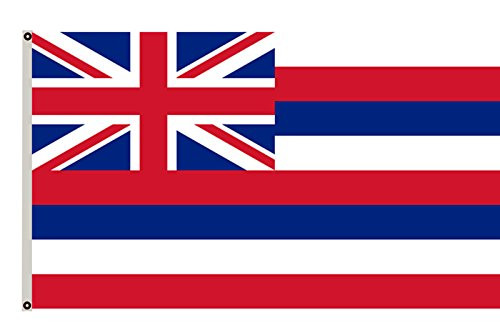 Fyon Hawaiian Flag The State Flag of Hawaii Banner 12x18inch