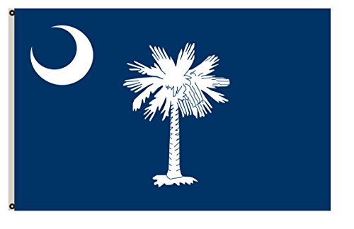 Fyon The Palmetto State of South Carolina Flag 12x18inch