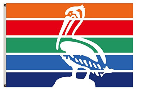 Fyon Florida Banner City of St. Petersburg Flag 12x18inch