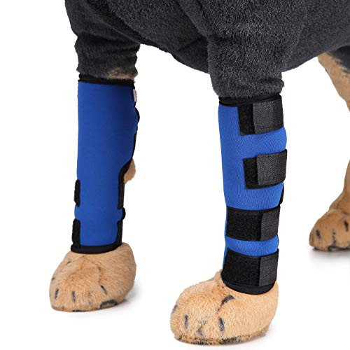 Gaorui Canine Dog Hock Brace Rear Leg Joint Wrap Protects Dog Rear Leg Braces Rehab Knee Protector Heals and Prevents Injuries and Sprains Helps with Loss of Stability Caused by Arthritis 1 Pair Blue Gaorui Canine Dog Hock Brace Rear Leg Joint Wrap Protects Dog Rear Leg Braces Rehab Knee Protector Heals and Prevents Injuries and Sprains Helps with Loss of Stability Caused by Arthritis 1 Pair Blue