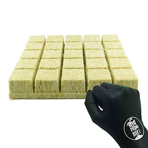 GRODAN A OK Rockwool Stonewool Hydroponic Grow Media Starter Cubes Plugs  plus THCity Gloves - 2" x 2" - 25 Piece