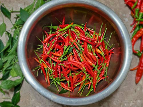 RubyShop724 piri piri Portuguese Pepper S-e-EDS peri peri Pepper 30 S-e-EDS