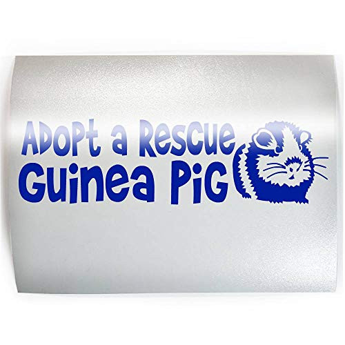 ADOPT A RESCUE GUINEA PIG - PICK COLOR  and  SIZE - Pigs Rodent Pet Vinyl Decal Sticker E