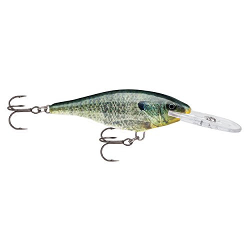 Rapala Shad Rap 07 Live Bluegill Lure Multi One Size -SR07BGL-
