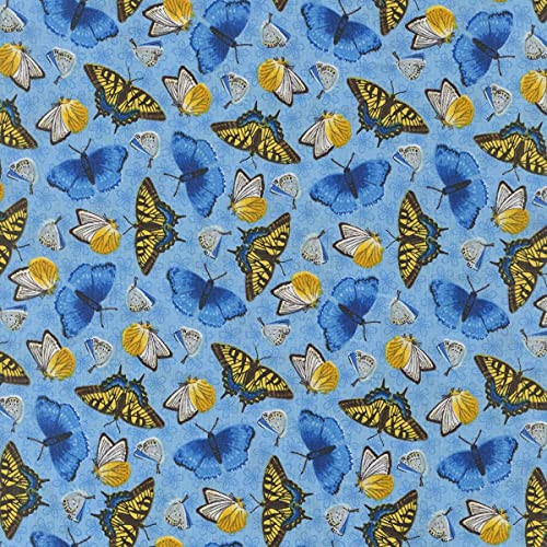 Studio E Fabrics Sunny Sunflowers Sharla Fults Tossed Butterflies Blue