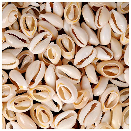 YUEAON 100pcs Natural Spiral Shell Beads Sea Shells Beach Seashells Cowrie Shells Charms and Beads for DIY Craft Jewelry Making Accessories -18~20mm-