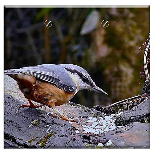 Double Blank Wall Plate Cover - Little Bird Brhl k Spevav Plain Feeding Forest