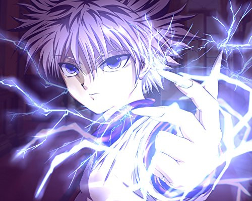 Hunter X Hunter Poster Anime Neferpitou Gon Killua Fight Art Print 16x20 Inches