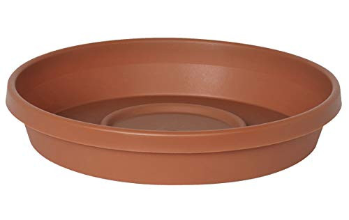 Bloem Terra Plant Saucer Tray for Planters 10-14" Terra Cotta