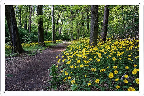 Planet Scene Poster - Flowers Yellow Wood Trees Track Path 55731 Tin Sign (8"x12")
