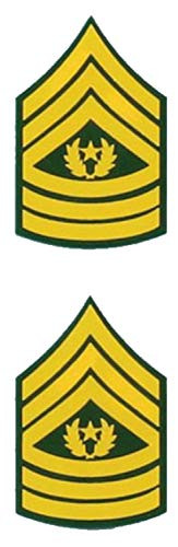 US Army E-9 Command SGT Major Rank 2-Piece 1 inch Decals - Veteran Owned Business