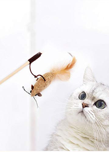 Cat Kitten Toys Set -Interactive Cat Toy -7 PCS Interactive Kitten Toys Assortments for Kitten Kitty Puppy Chew Bite