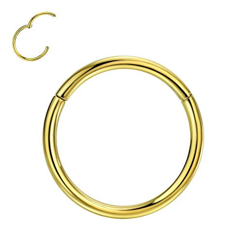 FANSING G23 Titanium 10mm Nose Rings 18 Gauge Nose Ring Hoop Earrings for Women 18g Nose Hoop Septum Jewelry Septum Ring Septum Clicker Helix Rook Earring Conch 14k Gold Plated Cartilage Earring