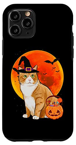 iPhone 11 Pro Cat Halloween Manx Jack O Lantern Pumpkin Case