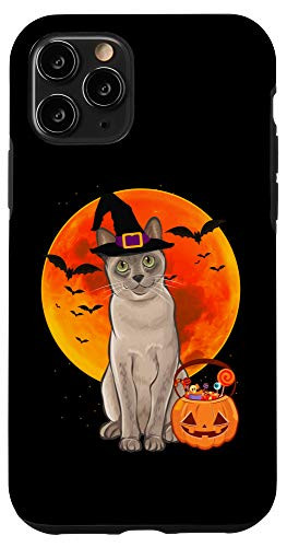 iPhone 11 Pro Cat Halloween Burmese Jack O Lantern Pumpkin Case