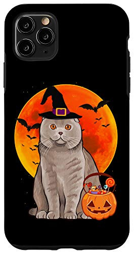 iPhone 11 Pro Max Cat Halloween Scottish Fold Jack O Lantern Pumpkin Case