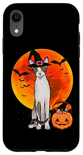 iPhone XR Cat Halloween Cornish Rex Jack O Lantern Pumpkin Case