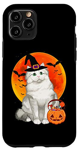 iPhone 11 Pro Cat Halloween Ragamuffin Jack O Lantern Pumpkin Case