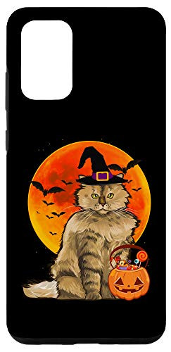 Galaxy S20 plus Cat Halloween Selkirk Rex Jack O Lantern Pumpkin Case
