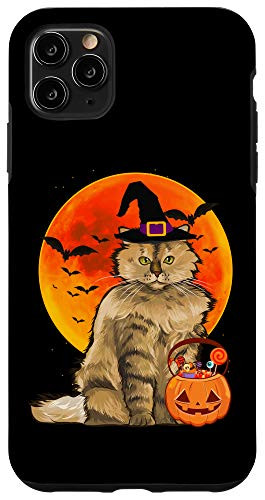 iPhone 11 Pro Max Cat Halloween Selkirk Rex Jack O Lantern Pumpkin Case