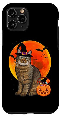 iPhone 11 Pro Cat Halloween Pixiebob Jack O Lantern Pumpkin Case