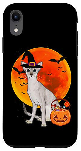 iPhone XR Cat Halloween Colorpoint Shorthair Jack O Lantern Pumpkin Case