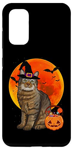 Galaxy S20 Cat Halloween Pixiebob Jack O Lantern Pumpkin Case