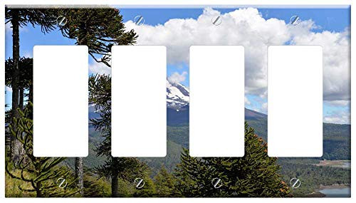 Switch Plate 4 Gang Rocker-GFCI - Conguill o National Park Volcano Sky Clouds Trees