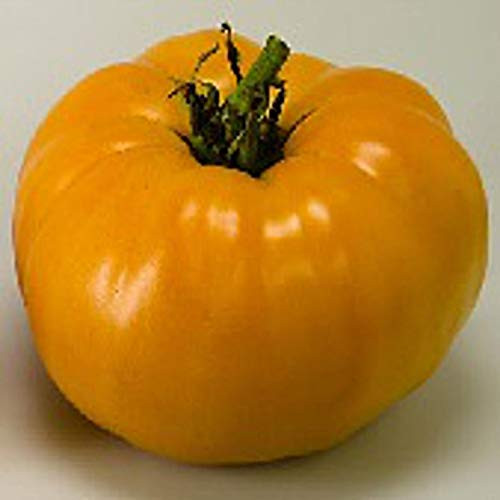 Nebraska W.edding Tomato - 10 S.e.e.d.s