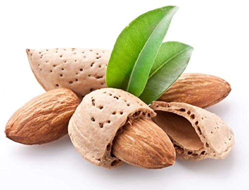 Jumbo Almonds -Shelled- - 14 oz - Whole unsalted raw Almonds - Tasty healthy snack - Shelled Nuts - County Creek LLC