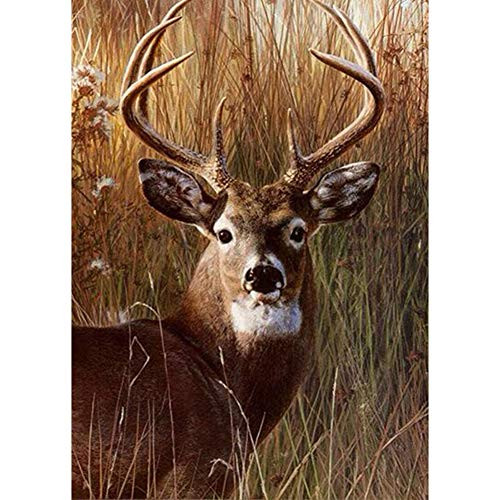 DIY 5D Diamond Painting Kit Diamond Art Full Diamond Embroidery Rhinestone Pictures Cross Stitch Arts Craft Supply for Home Wall Decor Gift Deer E 30x40cm