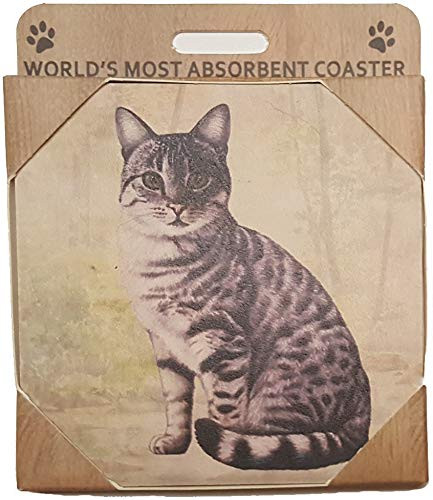 E and S Imports Ceramic Coaster - Silver Tabby Cat -1-