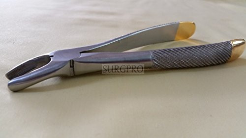 PREMIUM GRADE GOLD HANDLE DENTAL UPPER 1ST 2ND AND 3RD MOLARS EXTRACTING FORCEPS #MD2 (DH BRAND)